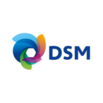 DSM